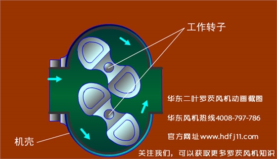 羅茨風(fēng)機(jī)的動(dòng)畫截圖.jpg