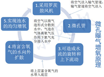 水產(chǎn)養(yǎng)殖羅茨風(fēng)機(jī)原理